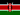 Kenya flag Innompic Games