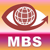 Master of Business Synergies (MBS) conceptual inventkon by Vadim Kotelnikov